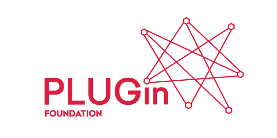 Plugin Foundation icon